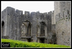 Carcassonne (11)