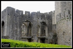 Carcassonne (11)