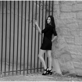 Vaucluse (84)