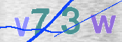 Image Anti-spam