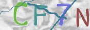 Image Anti-spam