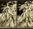 charleneds008double